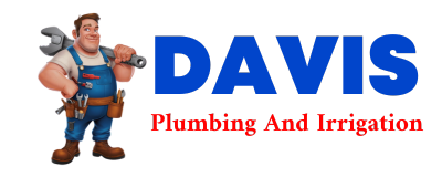 Trusted plumber in PANACEA